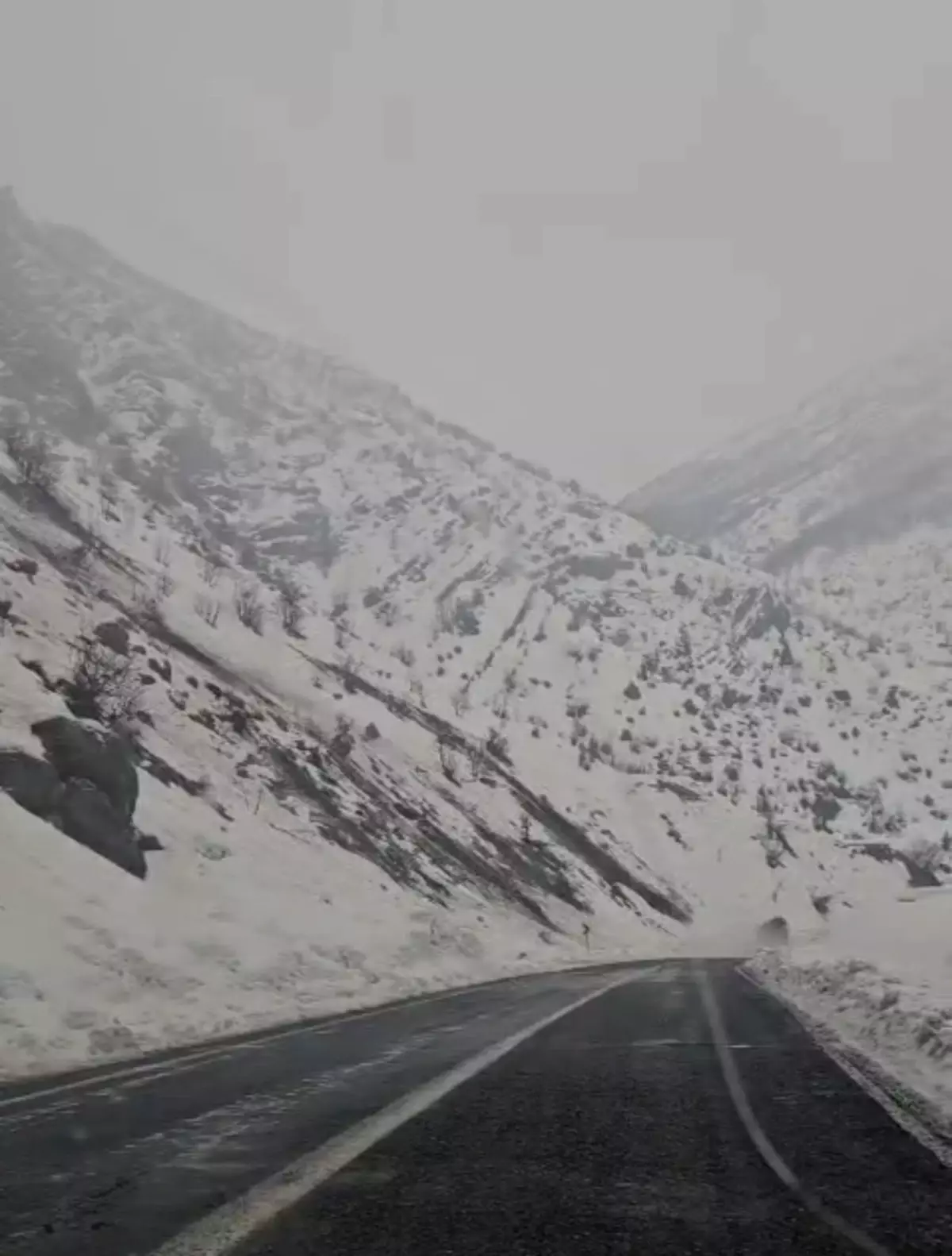 Hakkari'de Dev Kaya Parçası Ani Çöküşle Yola Düşerek Trafiği Durdurdu