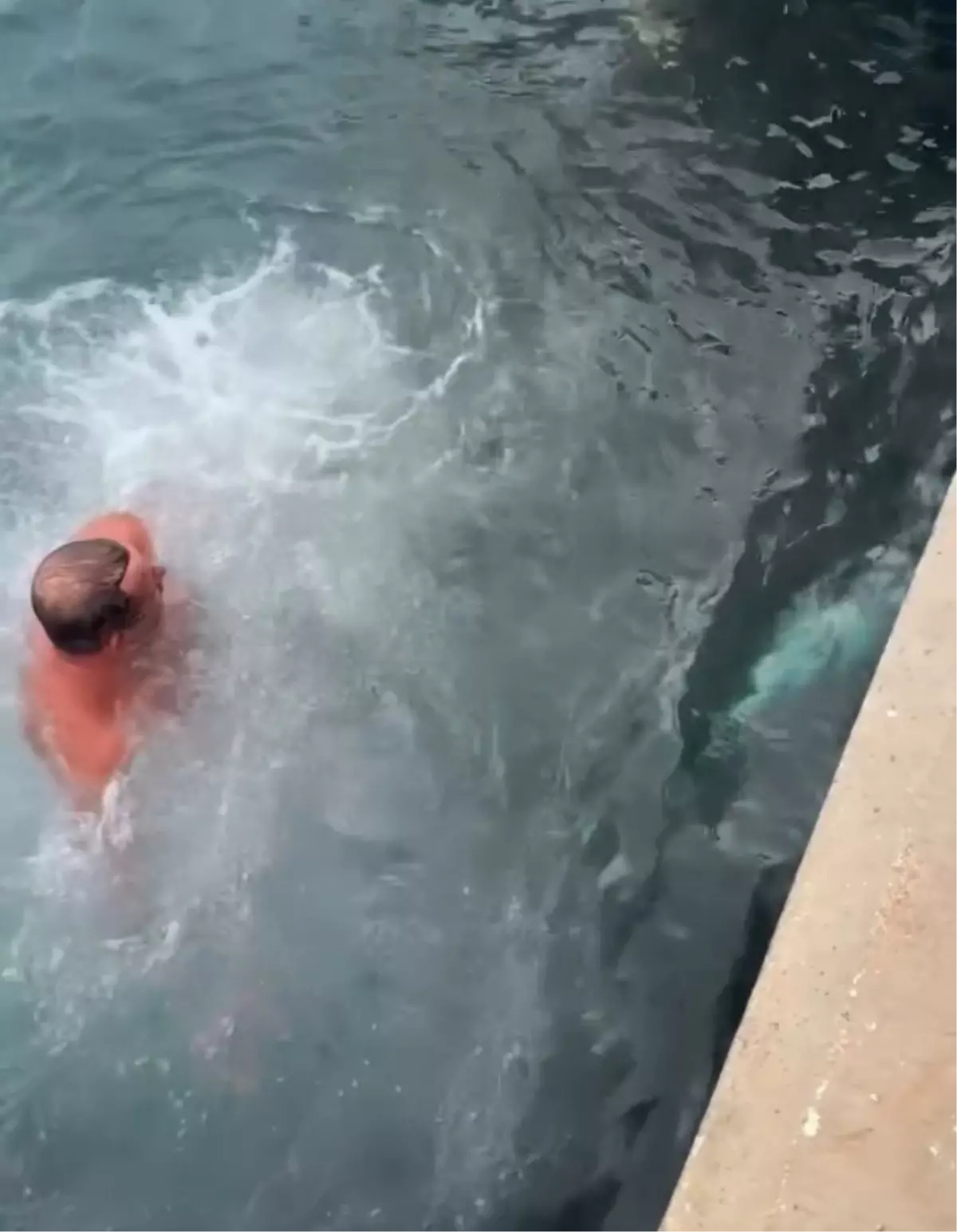 Edirne’de Soğukta Balıkçı, Orkinosu Kurtarmak İçin Denize Daldı