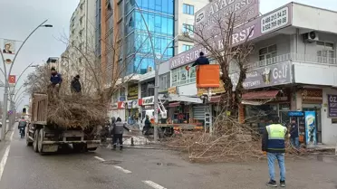 Budama ekipleri çalışırken