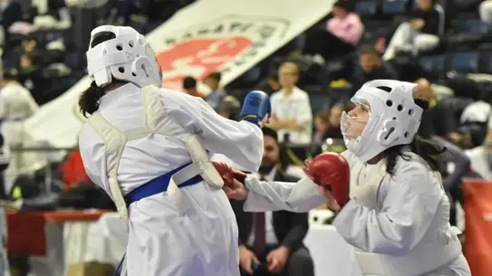 Sakarya’da Yıldızlar Karate Ligi ana fotoğrafı