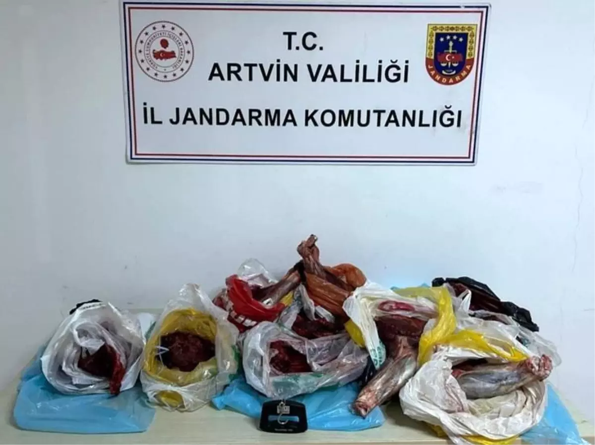 Artvin Jandarması 60 Kg Yaban Domuzu Etini Ele Geçirdi, Kaçakçılara 34 Bin TL Ceza
