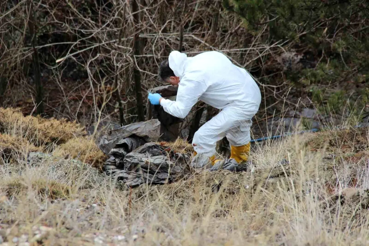 Çorum’da 76 Yaşındaki Yaşlı Adamın Parçalanmış Cesedi Dere Yatağında Bulundu