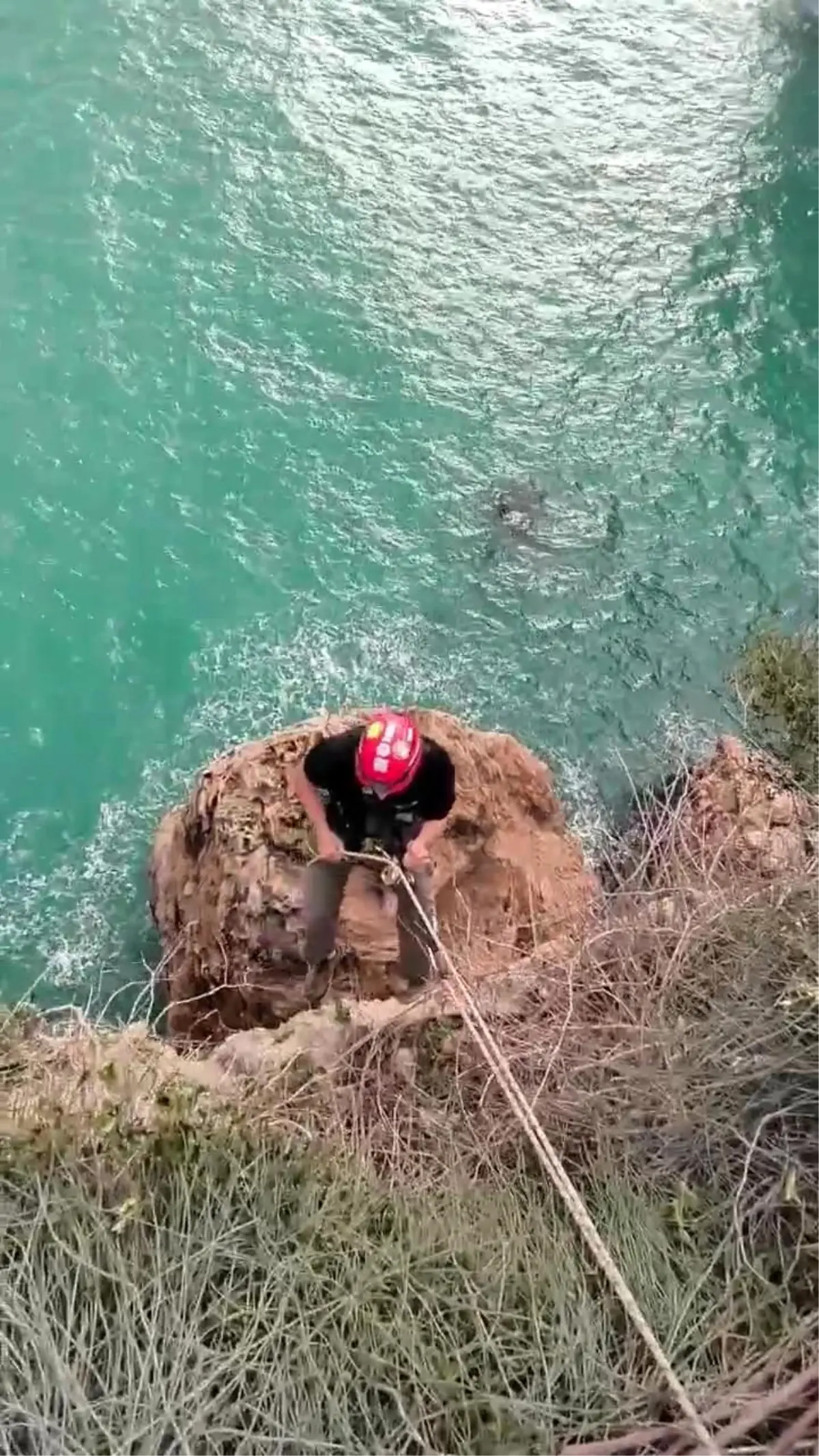 Antalya’da 30 Metrelik Falezden İple Kurtarılan Kedi Sosyal Medyada Gündemde