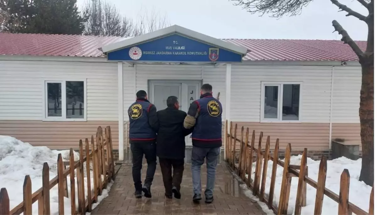 Muş’ta 1,5 Yıllık Hapis Cezalı Firari Yakalandı