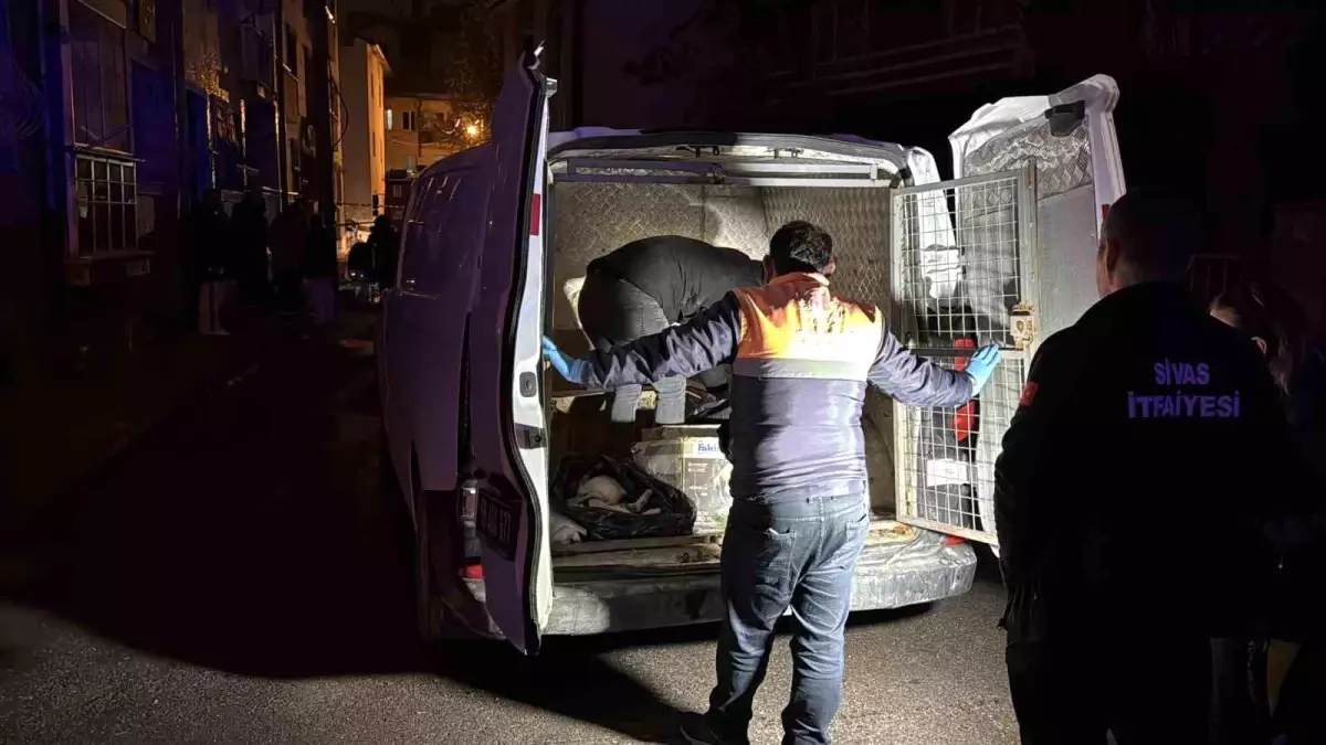 Sivas'ta Ev Yangınında 26 Kedi Yaşamını Yitirdi, 10 Kedi Kurtarıldı