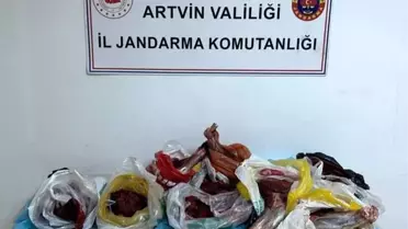 Ele geçirilen yaban domuzu eti paketlenmiş halde