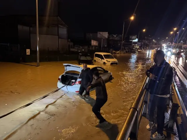 Sel sularında sürüklenen zeytin ağacı