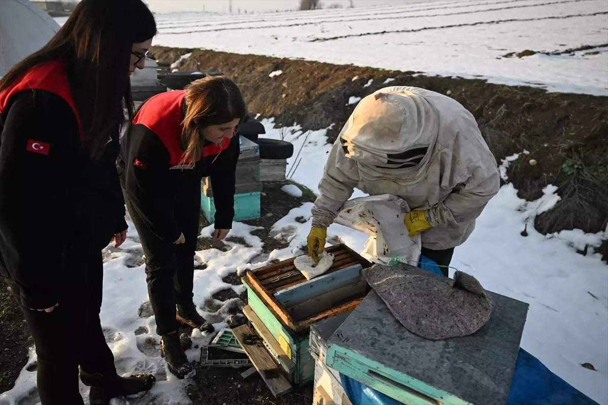 Deprem sonrası arıcı Ramazan Say