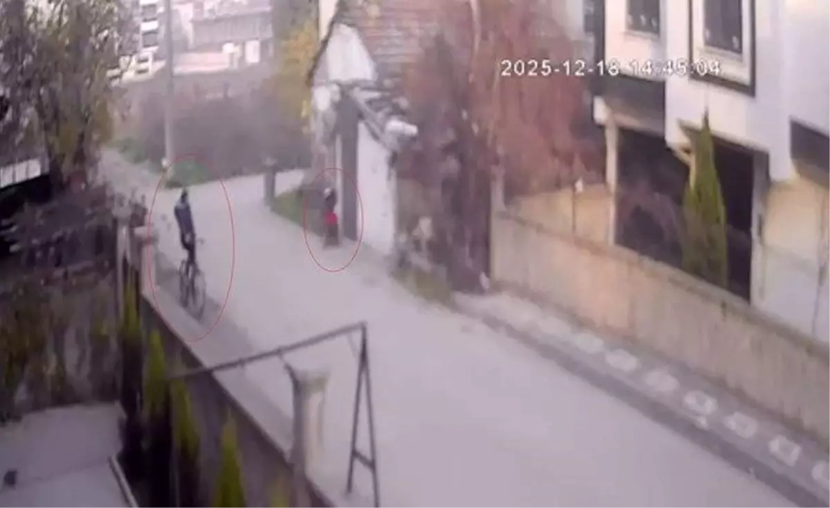 İnegöl'de 2 Milyon TL'lik Altın Hırsızı Yakalandı