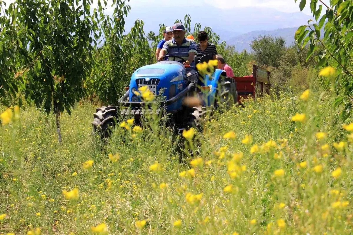 Türkiye’de Traktör Sayısı Rekor Kırdı: 2,3 Milyona Ulaştı