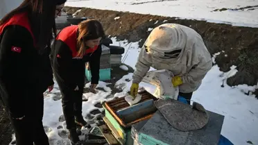 Depremden 3 Yıl Sonra Arıcıların Mücadelesi: Devlet Desteğiyle Bal Üretimi Yeniden Canlanıyor