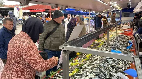 Balık tezgahında istavrit ve mezgit