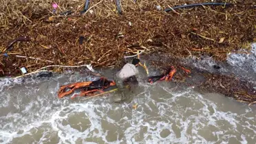 Mersin'de Sel Sonrası Sahiller Odun Yığınlarıyla Kaplandı: Kışlık Odun Arayışı Başladı
