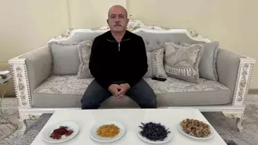 Safran tarlasında çalışan çiftçi