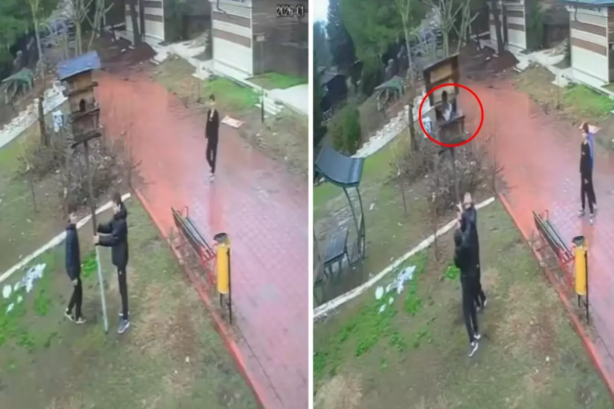 Adana Dinozor Parkı’nda Çocukların Kuş Yuvasını Yıktığı Anlar Sosyal Medyada Gündem Oldu