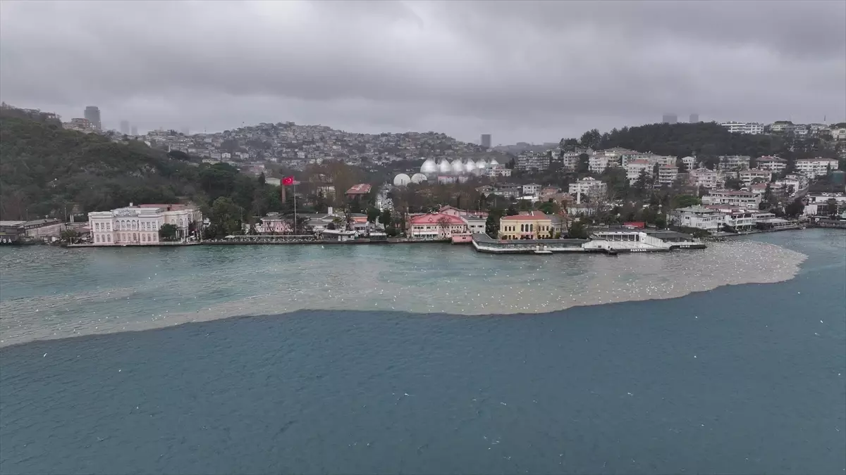 İstanbul Boğazı’nda Kanlıkavak Deresi’nden Gelen Çamurlu Sular Kirliliğe Yol Açtı