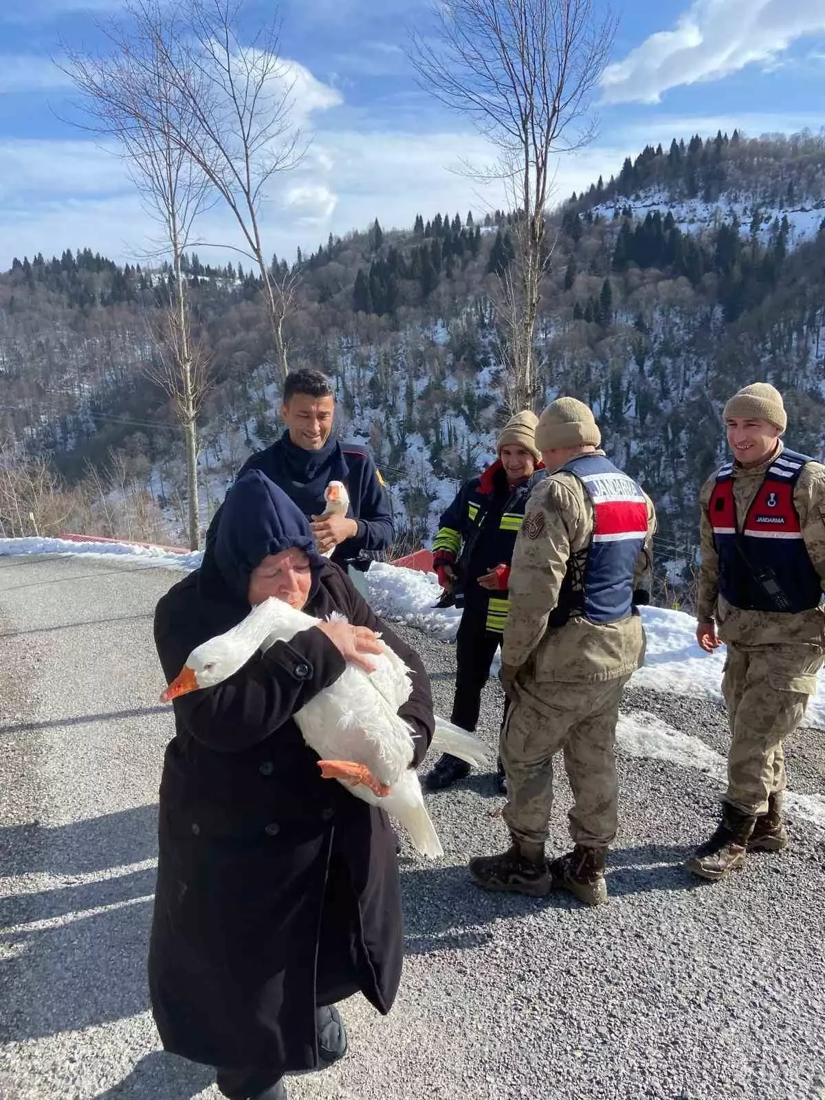 Ordu’da Kayıp Kazlar Jandarma ve İtfaiye Tarafından Dere Yatağında Bulundu