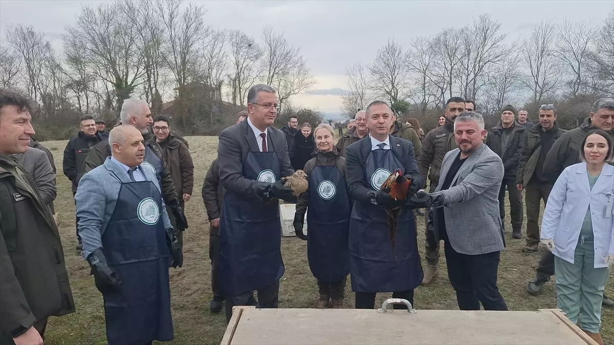 Bafra’da Dünya Sulak Alanlar Günü’nü Kutlayan Etkinlikte Kuş Halkalama ve Doğa Salımı Gerçekleşti