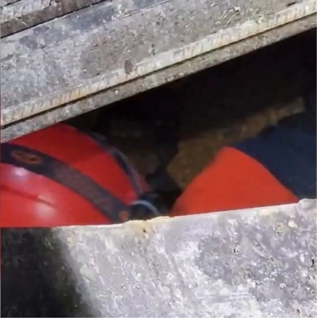 Şanlıurfa’da Mısır Silosuna Düşen Suriyeli İşçi Hayatını Kaybetti