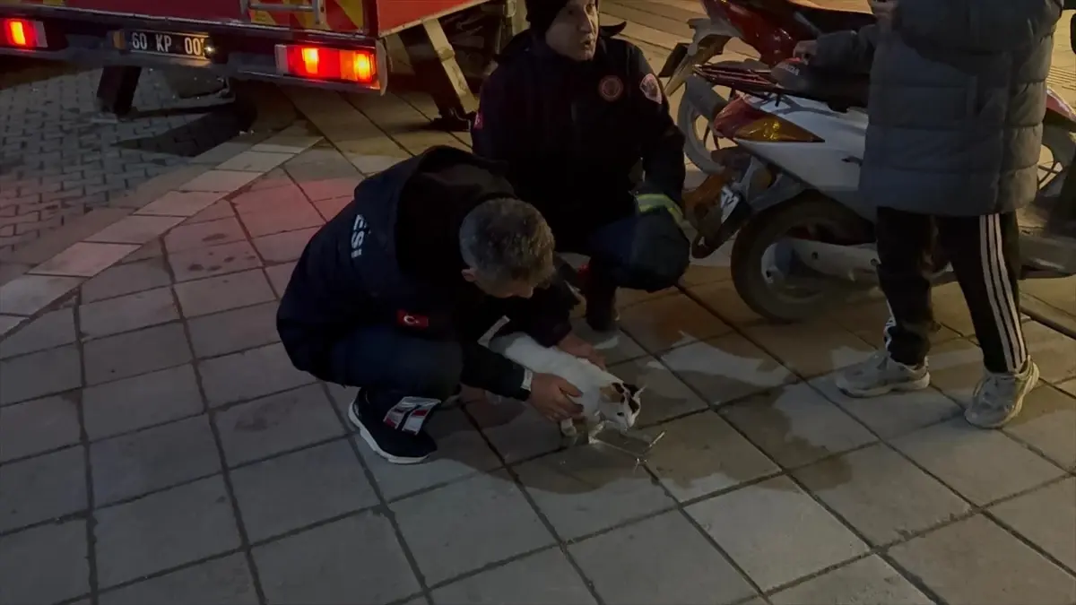 Erbaa'da 3. Kat Balkonda Kalan Kedi İtfaiye Tarafından Kurtarıldı