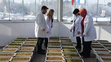 Erzurum’da -21°C’ye Dayanıklı Tohumlar Üretim Aşamasında