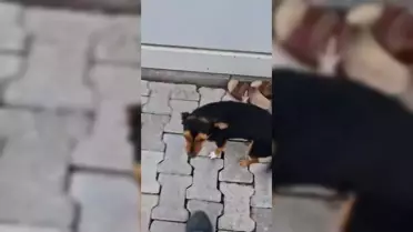 Fatma Arat ve Boncuk Joker programında