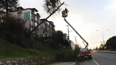 Hasar gören elektrik hatları