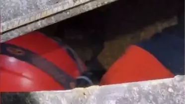 Mısır silosunda yaşanan trajik kaza