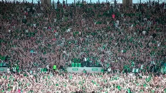 Sakaryaspor, Transfer Çılgınlığına Rağmen Kümeye Doğru Sürükleniyor