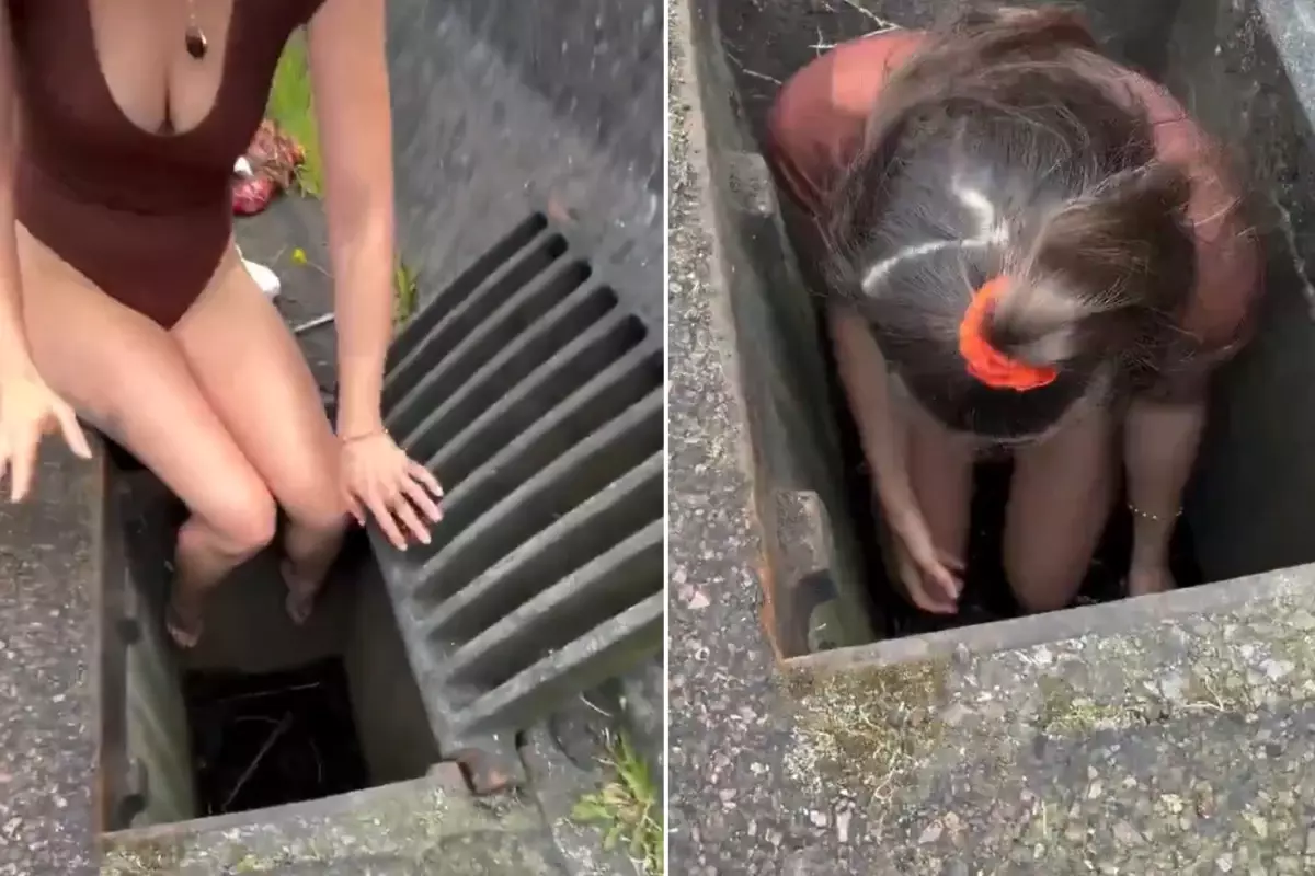 Kadın, Kanalizasyondan Gelen Ördek Sesini Duyunca Çabucak Müdahale Ederek Hayatlarını Kurtardı