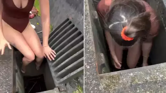 Kadın, Kanalizasyondan Gelen Ördek Sesini Duyunca Çabucak Müdahale Ederek Hayatlarını Kurtardı