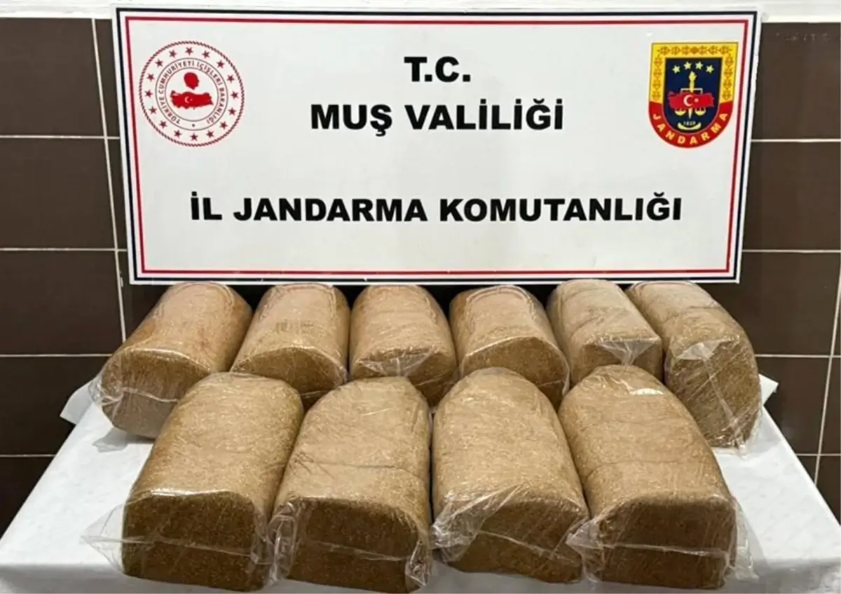 Muş Malazgirt’te 50 Kilo Bandrolsüz Tütün Ele Geçirildi