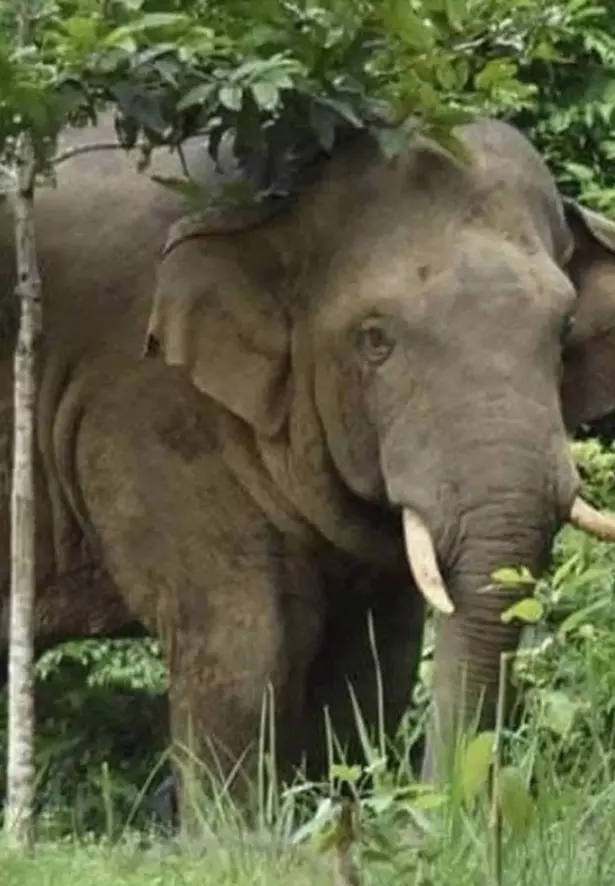 Saldırı anında fotoğraf