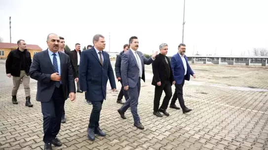 Canlı hayvan pazarında hijyen denetimi