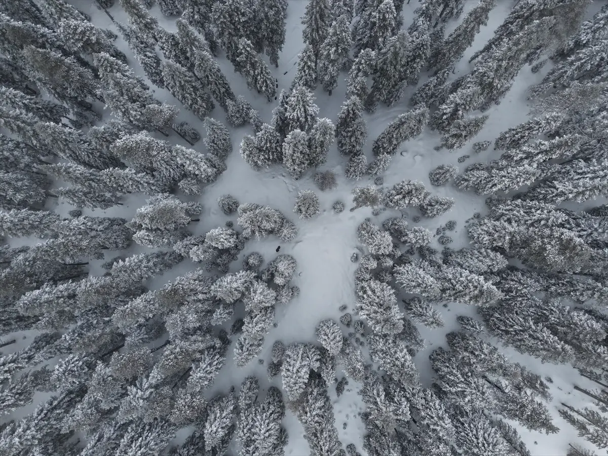 Kastamonu'nun Yüksek Kesimlerinde Şiddetli Kar Yağışı Yolları Felç Etti