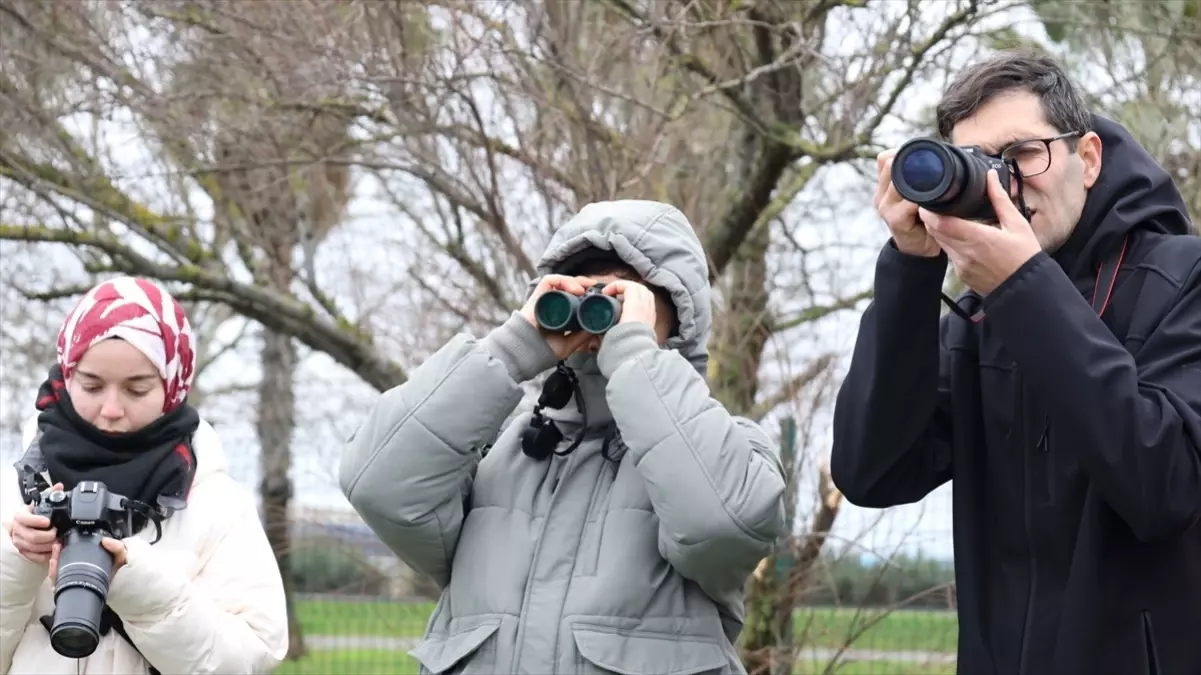 Kocaeli'de Flamingo Şenliği Renkli Kuş Gözlemleriyle Coştu
