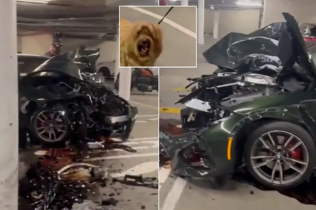 Otoparkta çarpan lüks araç