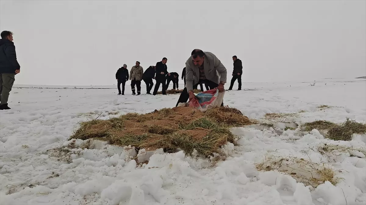 Korkut’ta Kar Fırtınası Yaban Hayvanlarına Yardım Getirdi