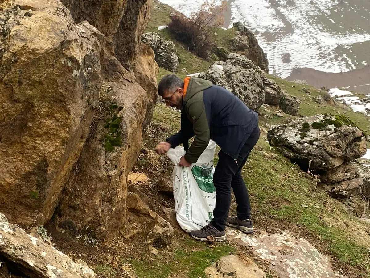 Sason’da Soğuk Havalarda Yaban Hayvanları İçin Acil Yemleme Çalışması Başlatıldı
