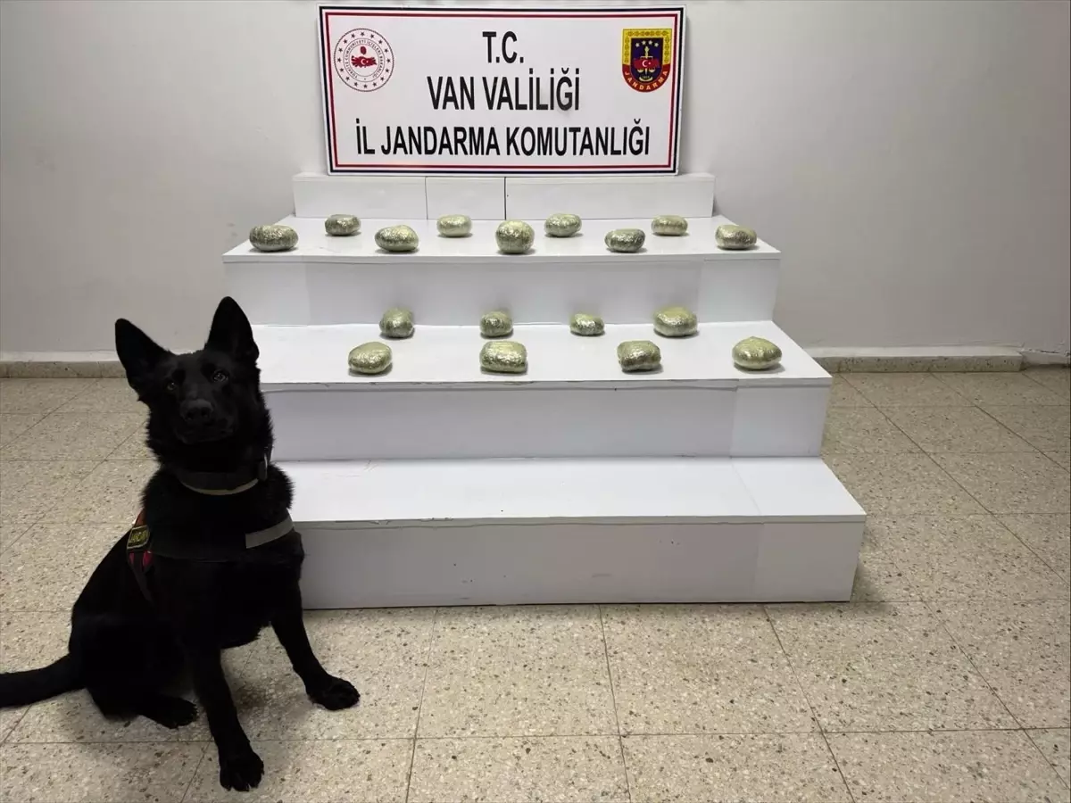 Van'ın Başkale İlçesinde 20 Kilo 250 Gram Esrar Ele Geçirildi