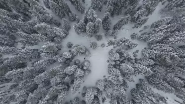 Kastamonu’da karla kaplı yollar