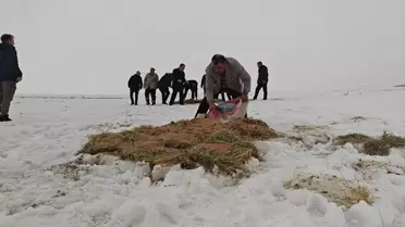 Yardım için bırakılan yemler