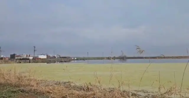 Nimet Kılıç anısına çiçekler