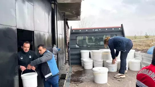 Diyarbakır’da 5 Gıda İşletmesinde 460 kg Peynir İmha Edildi