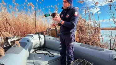 Bursa’da Yaban Hayatı Koruma Çabaları: 8 Avcıya 431 Bin TL Ceza Kesildi