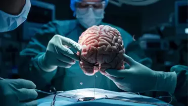 Kuzey Makedonya'dan ABD'ye Gönderilen Beyin Örnekleri Uluslararası Tartışma Yarattı