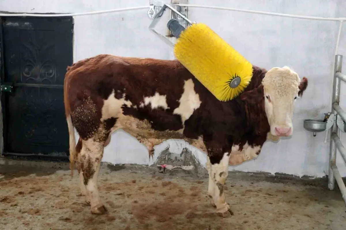 Erzincan’da 12 Tarım Projesine 121 Milyon TL Hibe: IPARD III Desteği