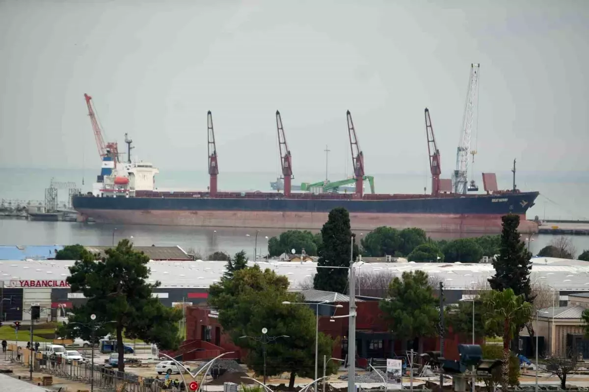 Orta Karadeniz 2025 Dış Ticaret Rakamları: Meyve İhracatı Rekor, Motorin İthalatı Zirvede