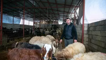 Tarım Bakanlığı’ndan Depremzedeler İçin Besicilik Desteği: Sürü Yeniden Kuruldu