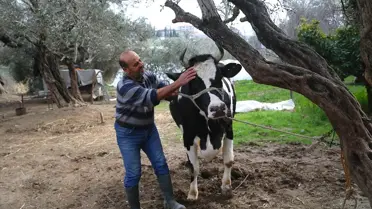 Hatay’da Depremzede Besicilere Yeni Destek Paketi